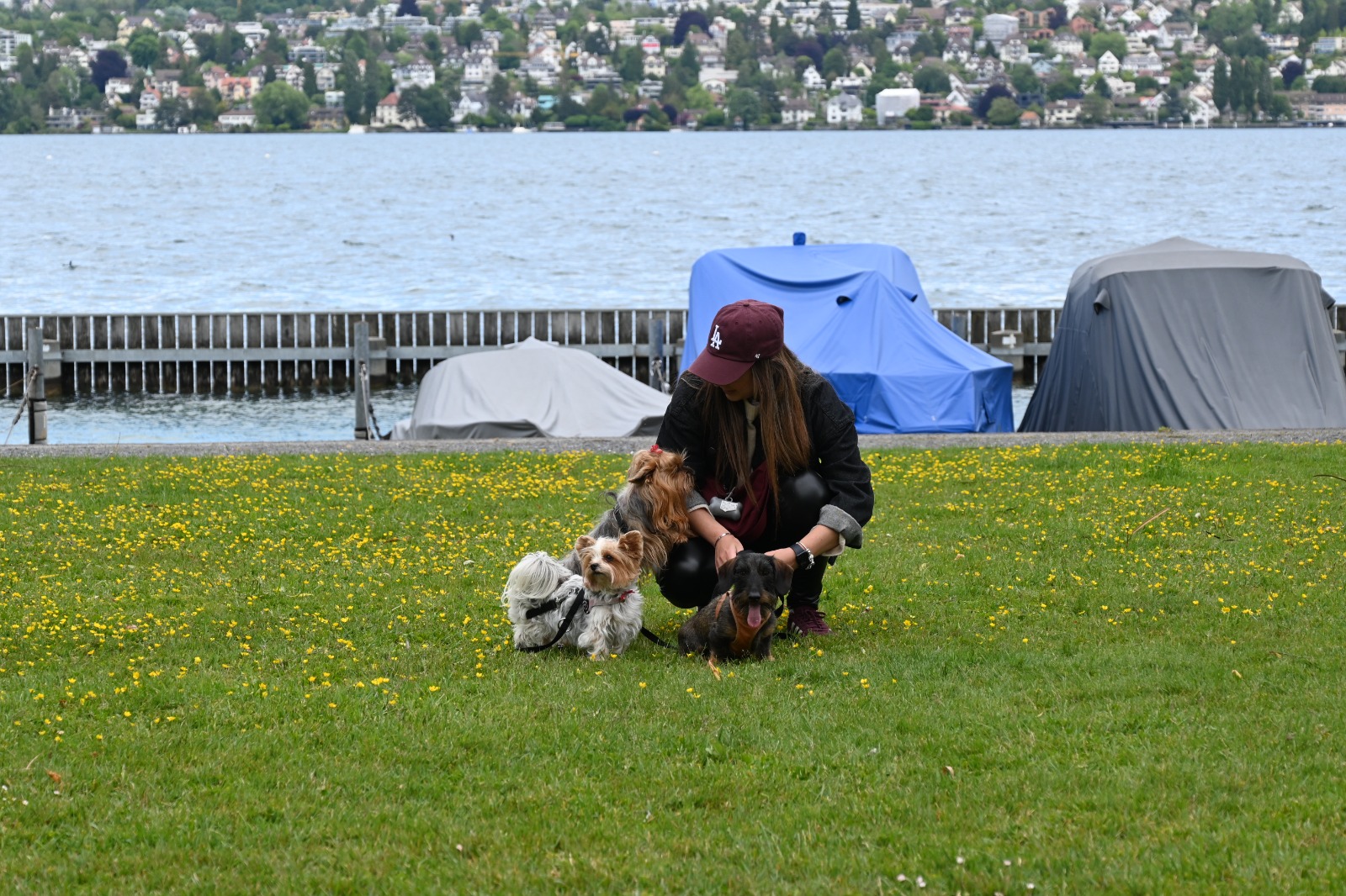 Hundebetreuung Moment